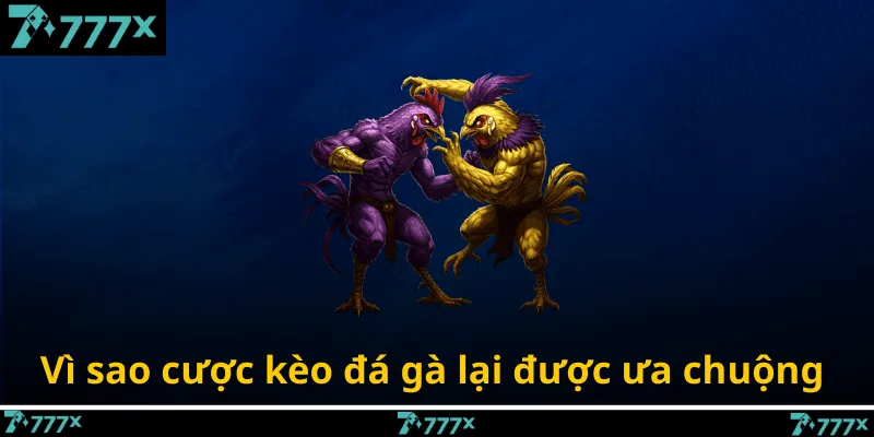 Vì sao cược kèo đá gà lại được ưa chuộng
